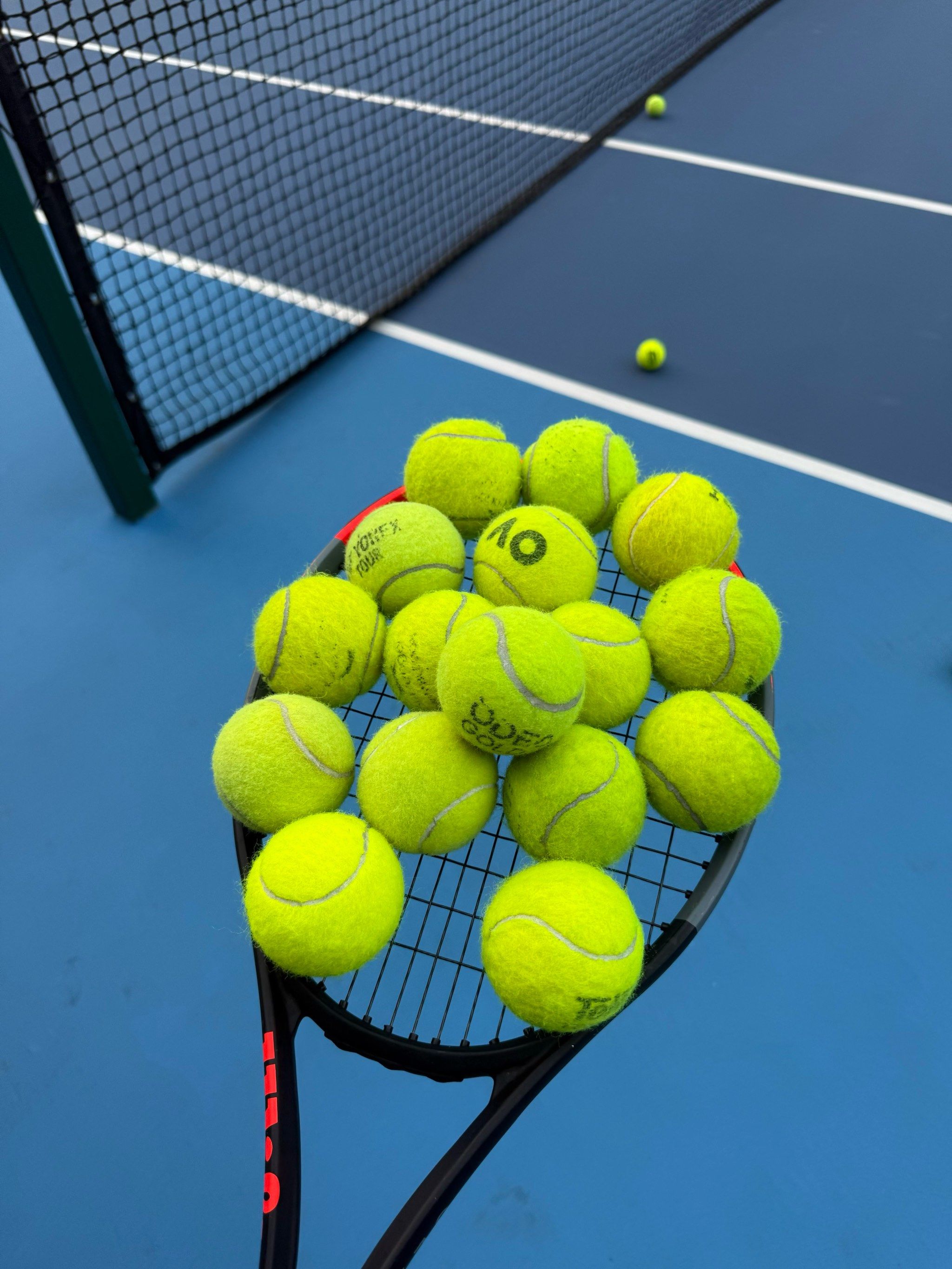 极具天赋的 极具天赋的