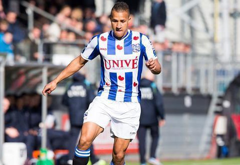 根系隆起易 根系隆起易